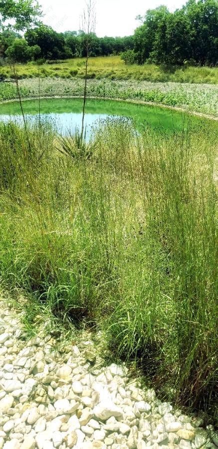 Rocky Hill Teich Hutte Pond Cottage מראה חיצוני תמונה